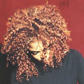 Janet Jackson- The Velvet Rope